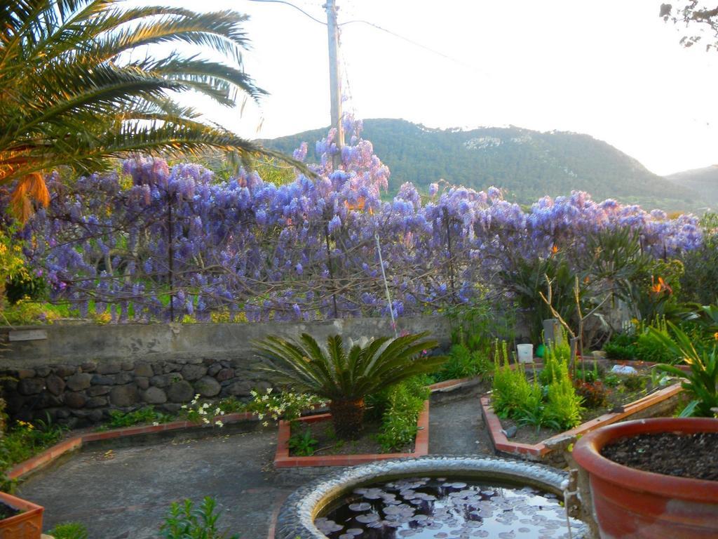 Case Vacanze La Cernia Bruna Isola di Ustica Exterior foto